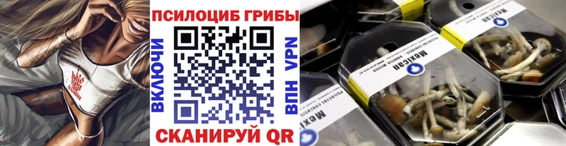 Галлюциногенные грибы Cubensis  Купить где  Новопавловск 
