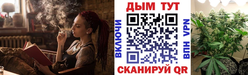 Купить закладки  Новопавловск  Бошки марихуана сатива 
